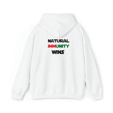 Load image into Gallery viewer, MULTI-COLORED, S/W THEMED, NATURAL IMMUNITY WINS HOODIE W/ LOGO ON BACKSIDE