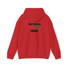 Load image into Gallery viewer, MULTI-COLORED, S/W THEMED, NATURAL IMMUNITY WINS HOODIE W/ LOGO ON BACKSIDE